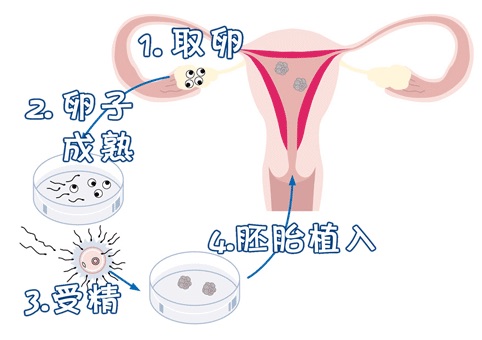 陈思远